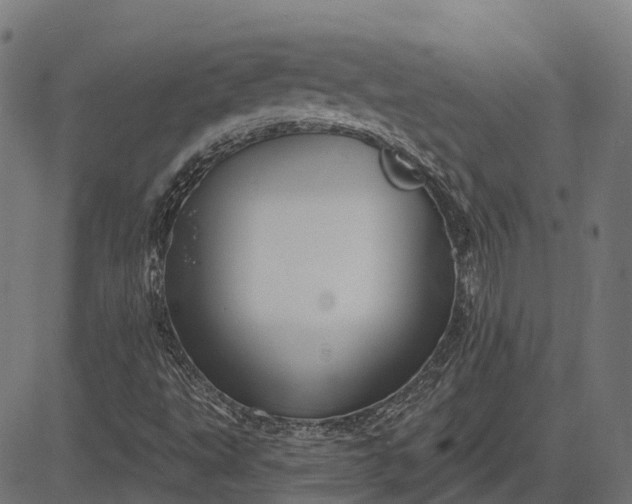 X0000082711495200702091734