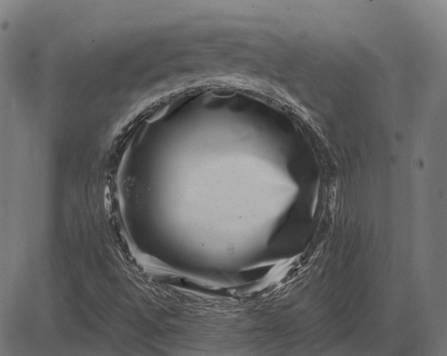 X0000082711496200702091734