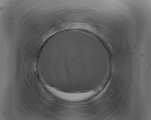 X0000082711497200702091734