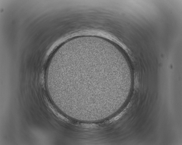 X0000082711498200702091734