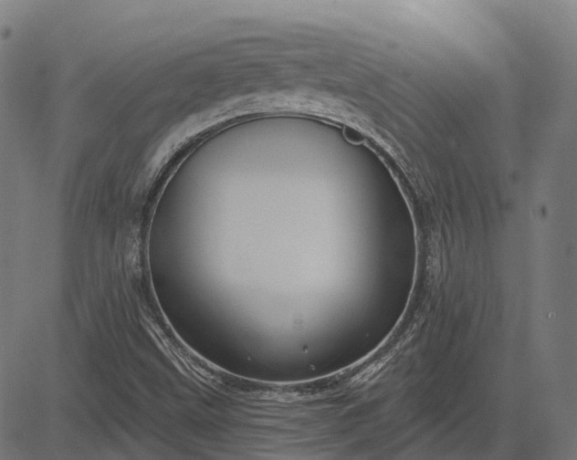 X0000082711499200702091734