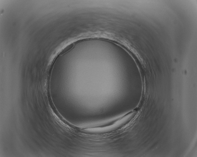 X0000082711500200702091734