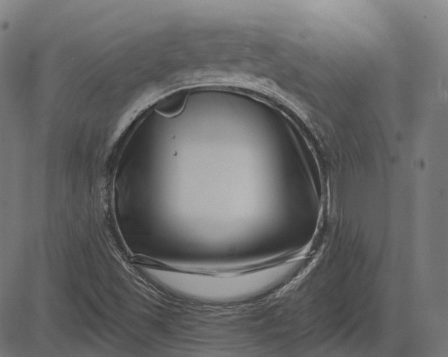 X0000082711501200702091734