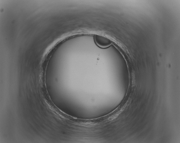 X0000082711502200702091734