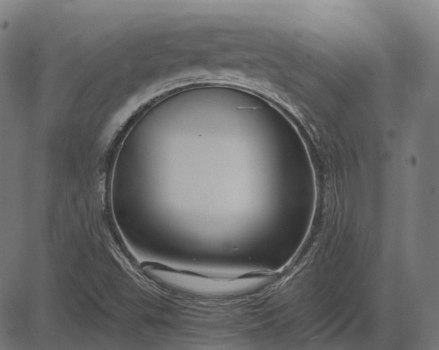 X0000082711503200702091734