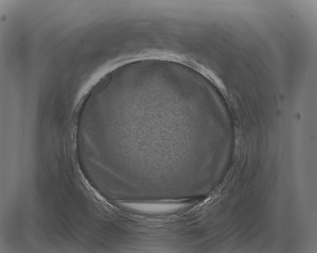 X0000082711504200702091734