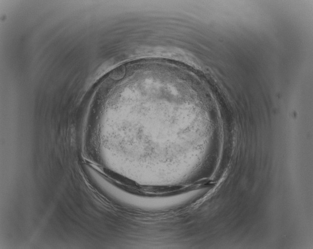 X0000082711505200702091734