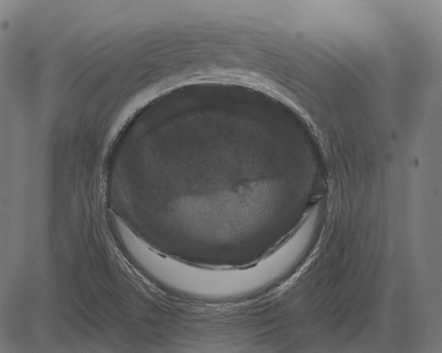 X0000082711506200702091734