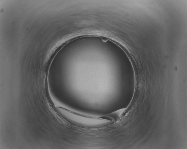 X0000082711507200702091734