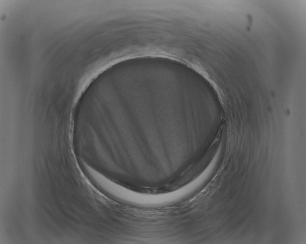 X0000082711508200702091734