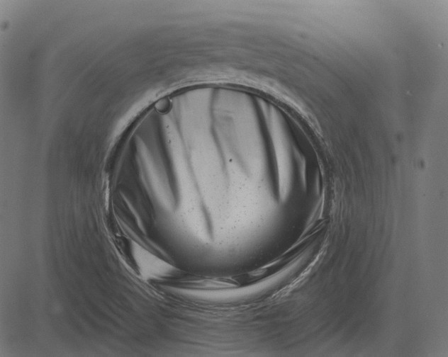 X0000082711509200702091734