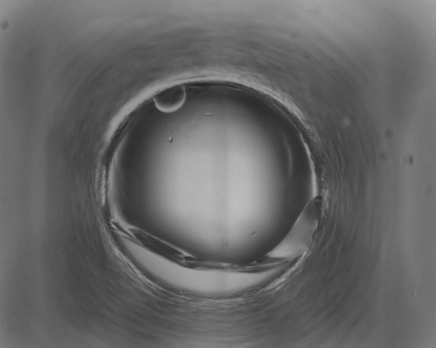 X0000082711510200702091734