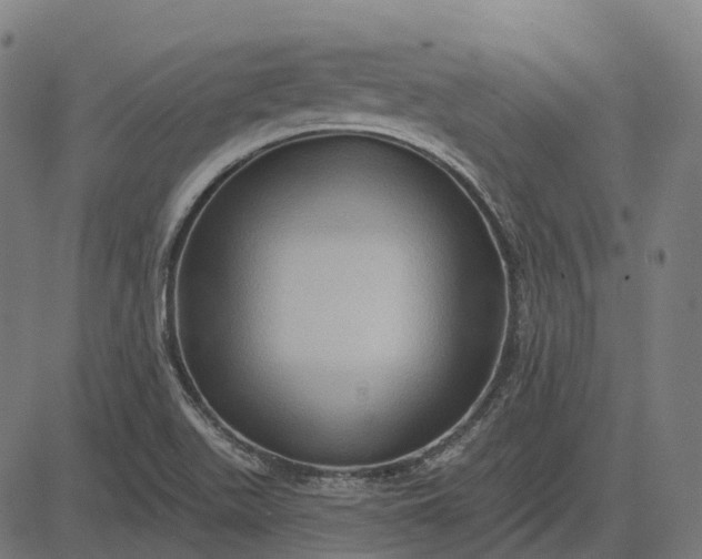 X0000082711511200702091734