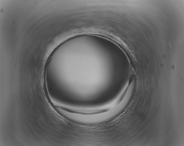 X0000082711512200702091734