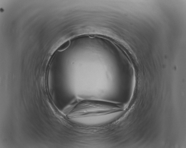 X0000082711513200702091734