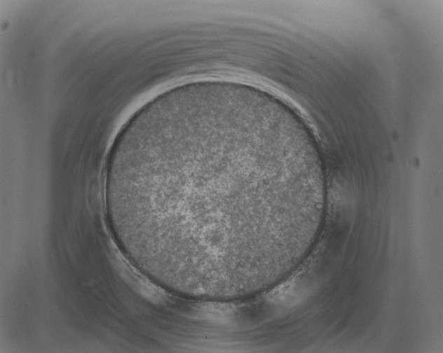 X0000082711514200702091734