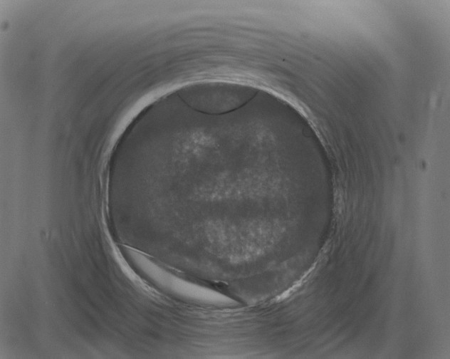 X0000082711515200702091734