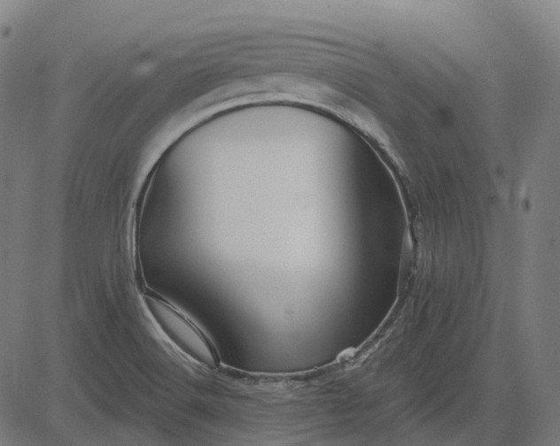 X0000082711516200702091734