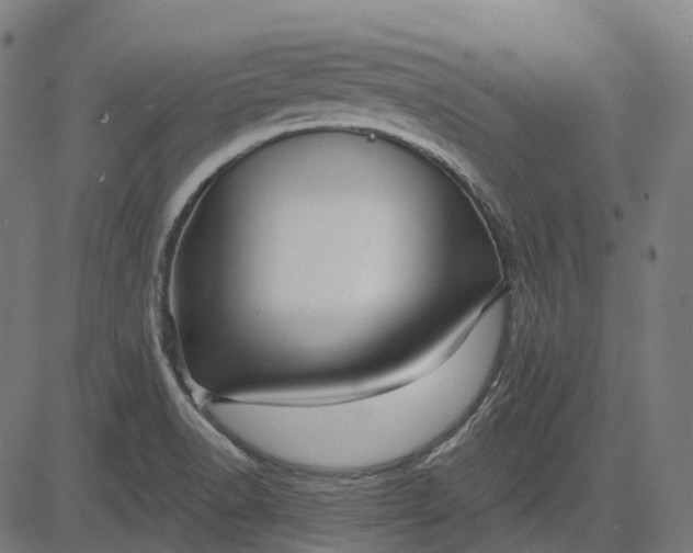 X0000082711518200702091735