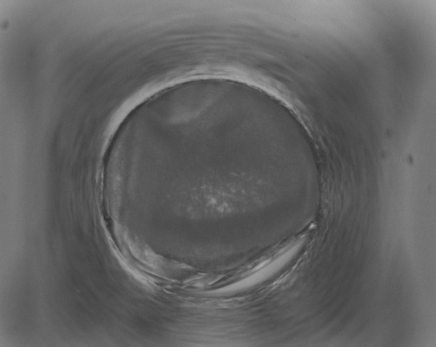 X0000082711519200702091735