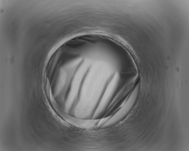 X0000082711520200702091735