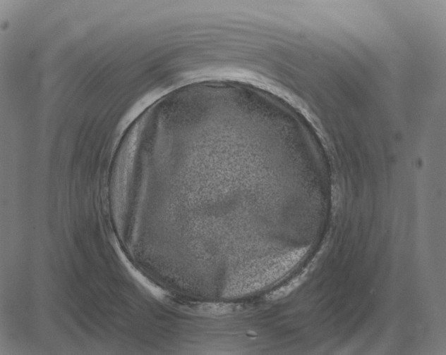 X0000082711521200702091735