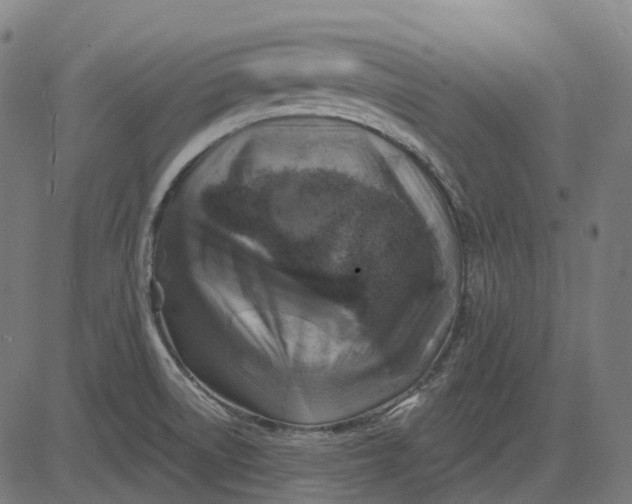 X0000082711522200702091735