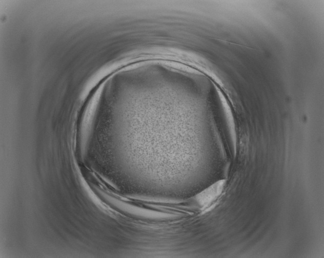 X0000082711523200702091735