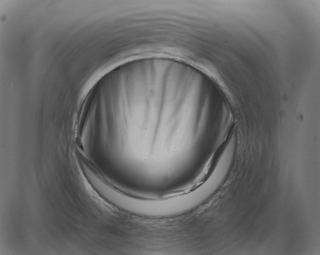 X0000082711524200702091735