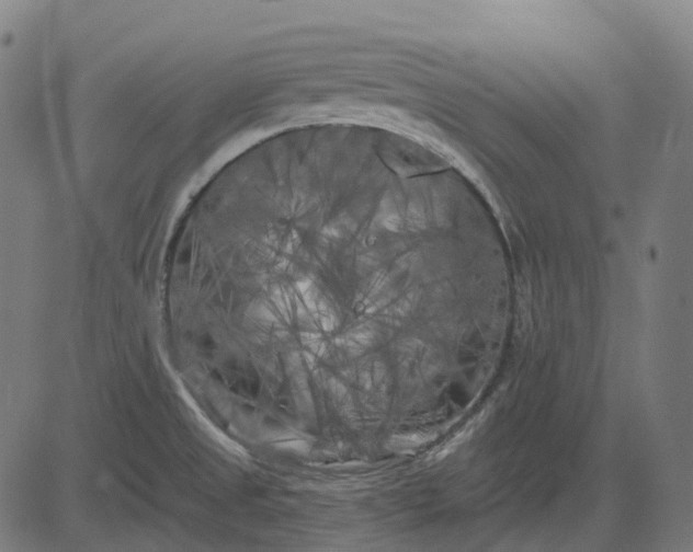 X0000082711525200702091735