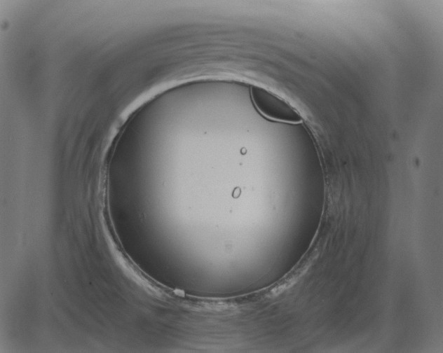 X0000082711526200702091735