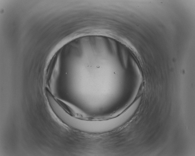 X0000082711528200702091735