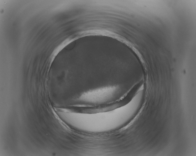 X0000082711529200702091735