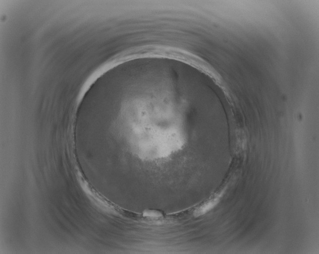 X0000082711530200702091735