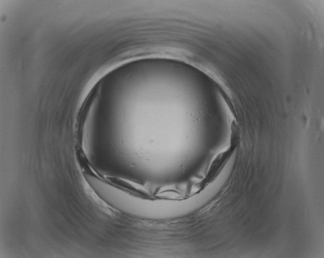 X0000082711532200702091735