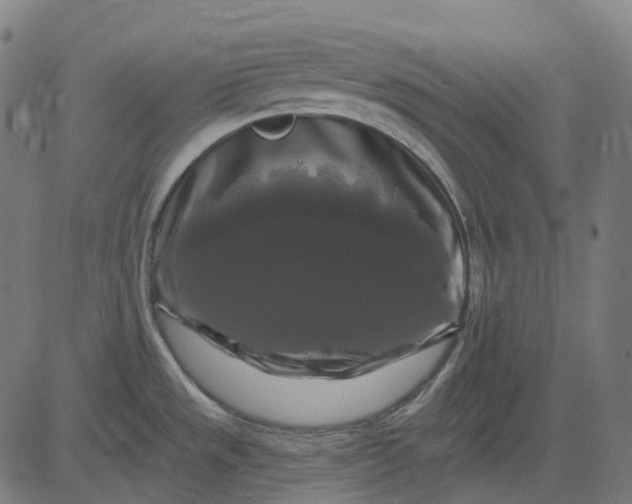 X0000082711533200702091735