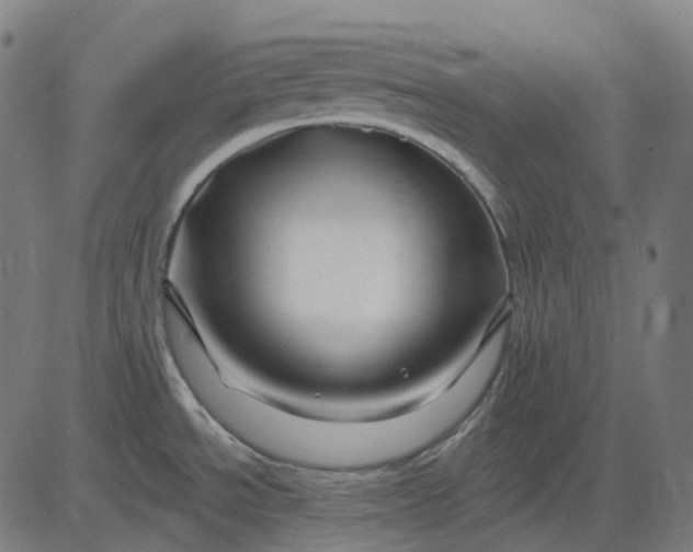 X0000082711534200702091735