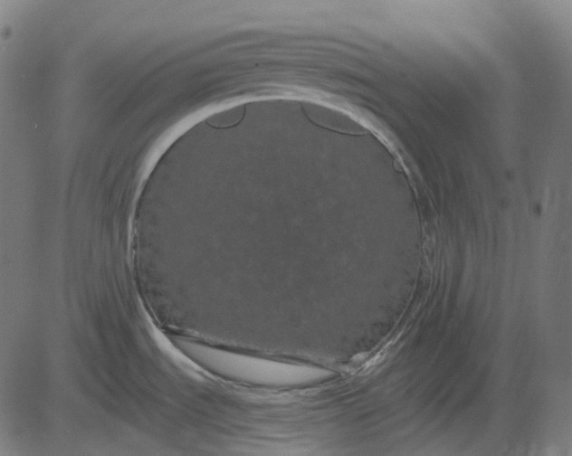 X0000082711535200702091735