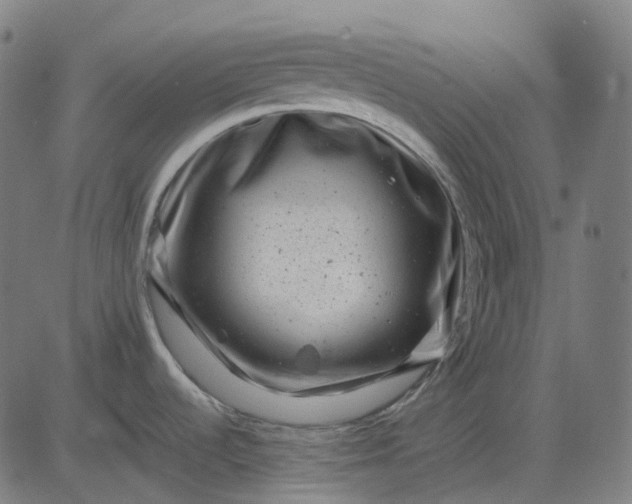 X0000082711536200702091735