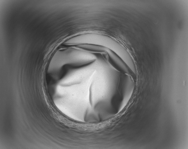 X0000082710001200702161827