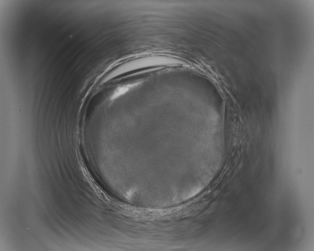 X0000082710002200702161827