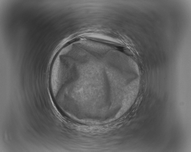 X0000082710003200702161827