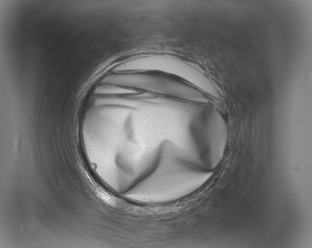 X0000082710005200702161827