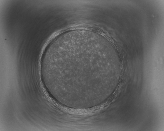 X0000082710006200702161827