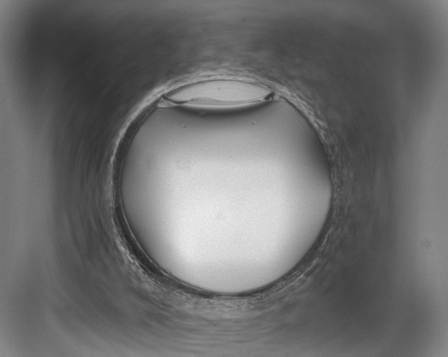 X0000082710008200702161827