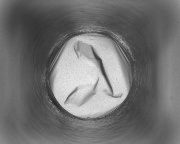 X0000082710010200702161827