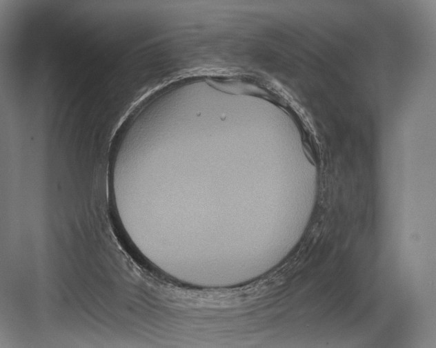 X0000082710011200702161827