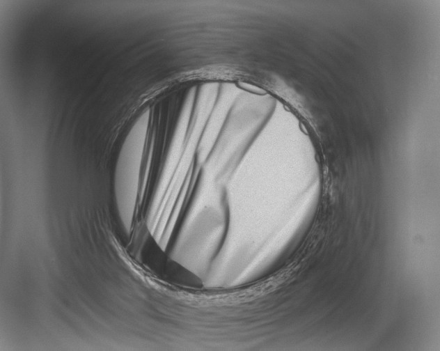 X0000082710013200702161827