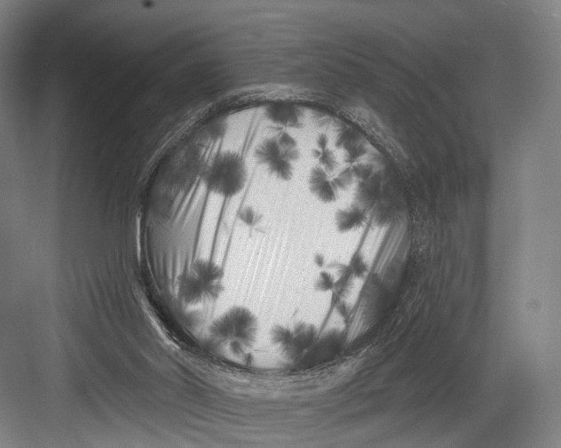 X0000082710014200702161827