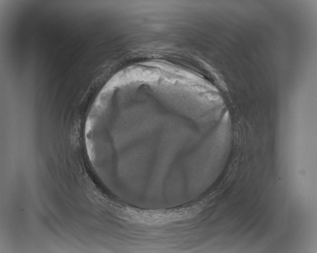 X0000082710018200702161827